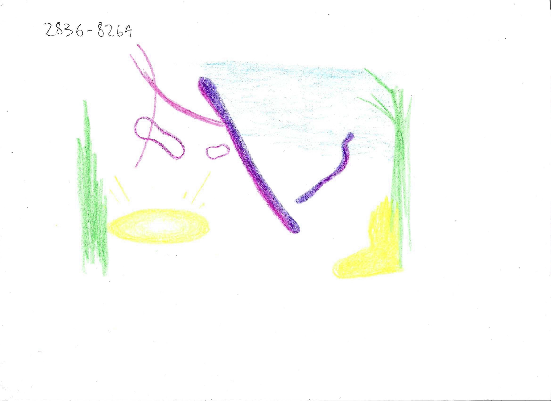 Croquis 2836-8264